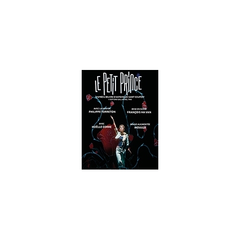 PASSEPORT JEUNESSE PETITE PRINCE