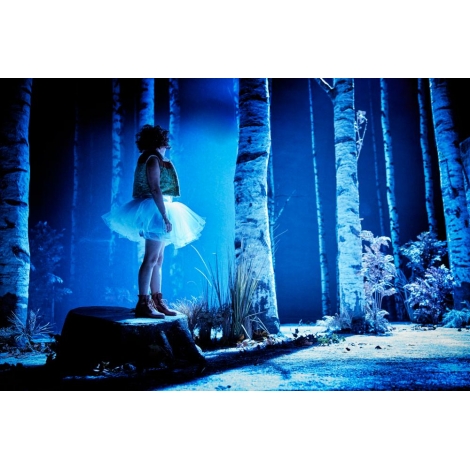 PASSEPORT CULTUREL NEIGE